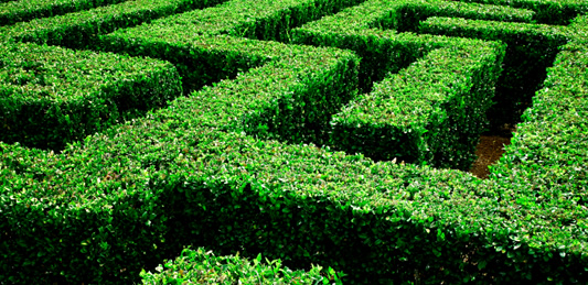 Maze image